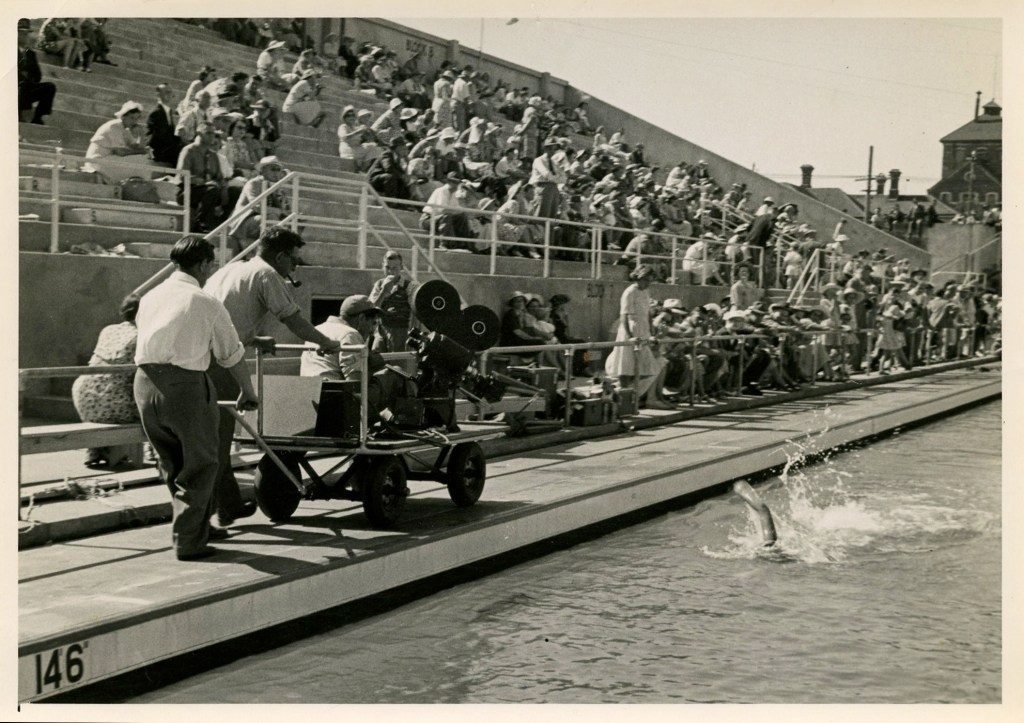 Jeux de l'Empire Britannique, 1950
